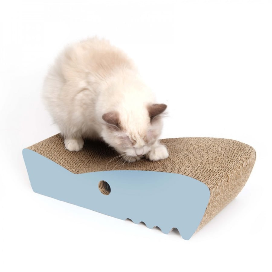 Catit خداشة للقطط على شكل سمك القرش