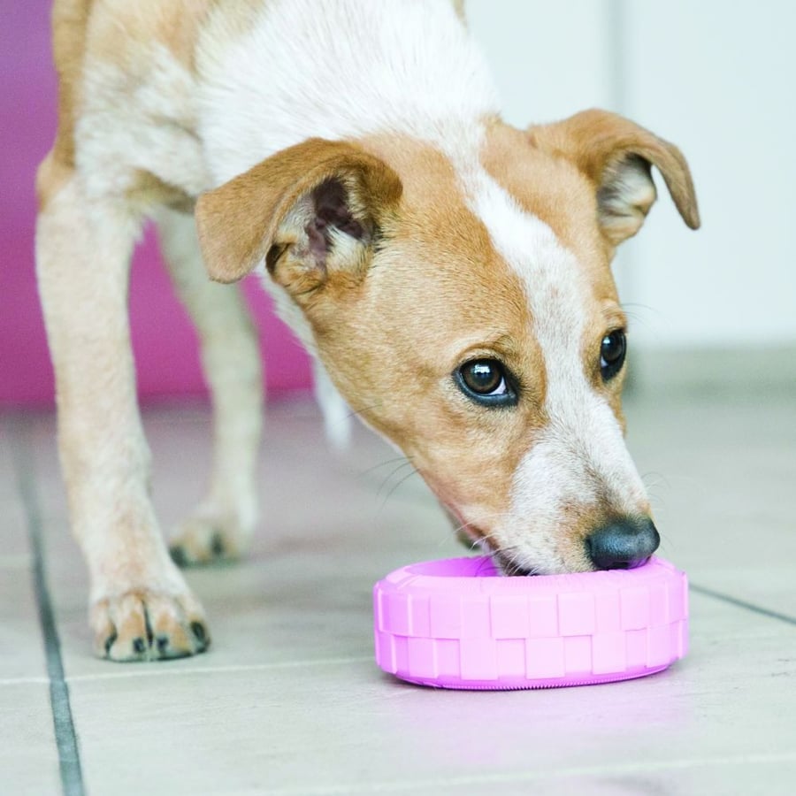 KONG Puppy Tires Lg