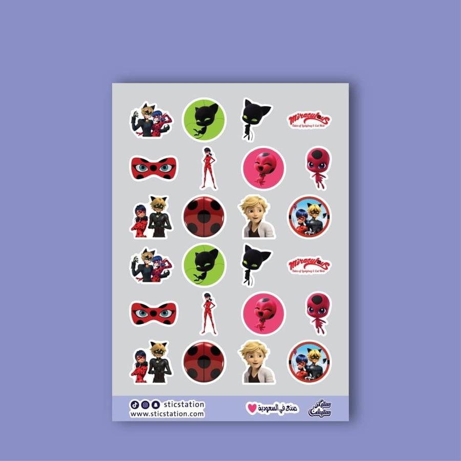 Stickers for notebooks and books | Ladybug and the black cat