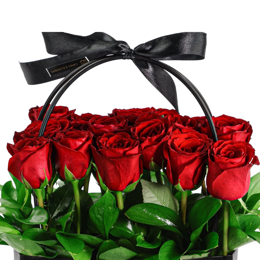 كل العمر