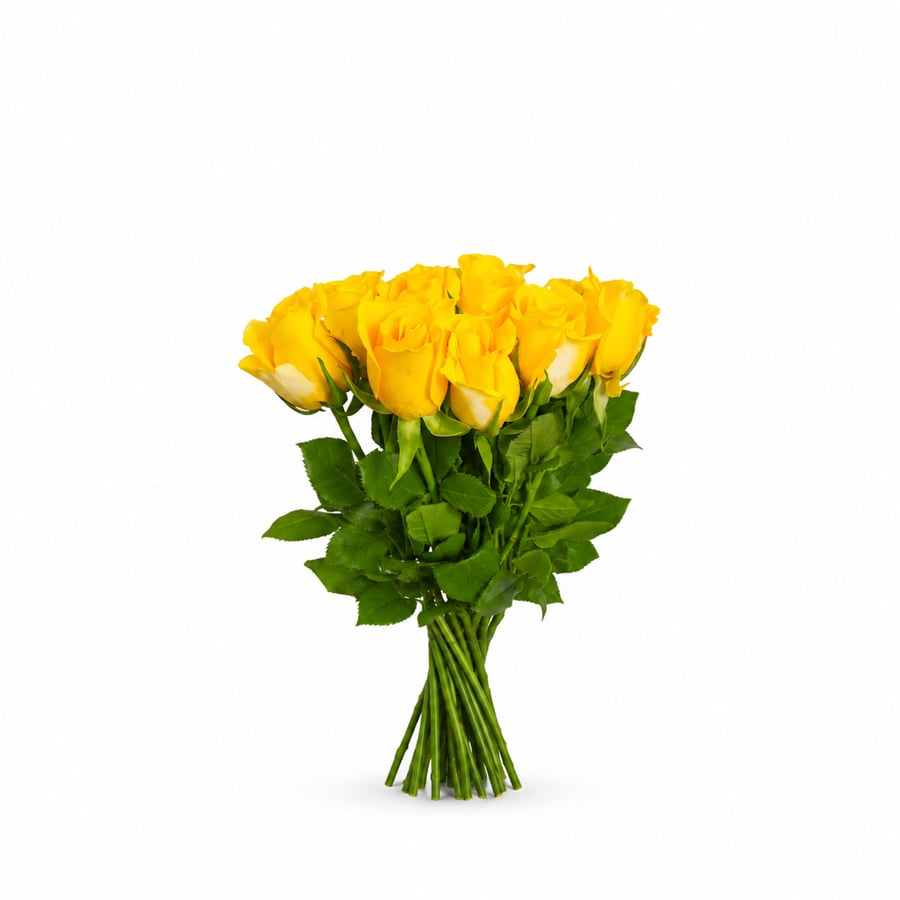 روز أصفر- Yellow Rose