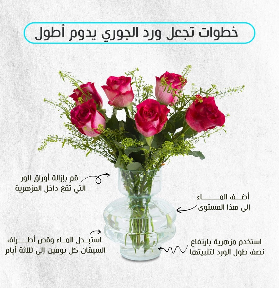 ورود طبيعية في السعودية