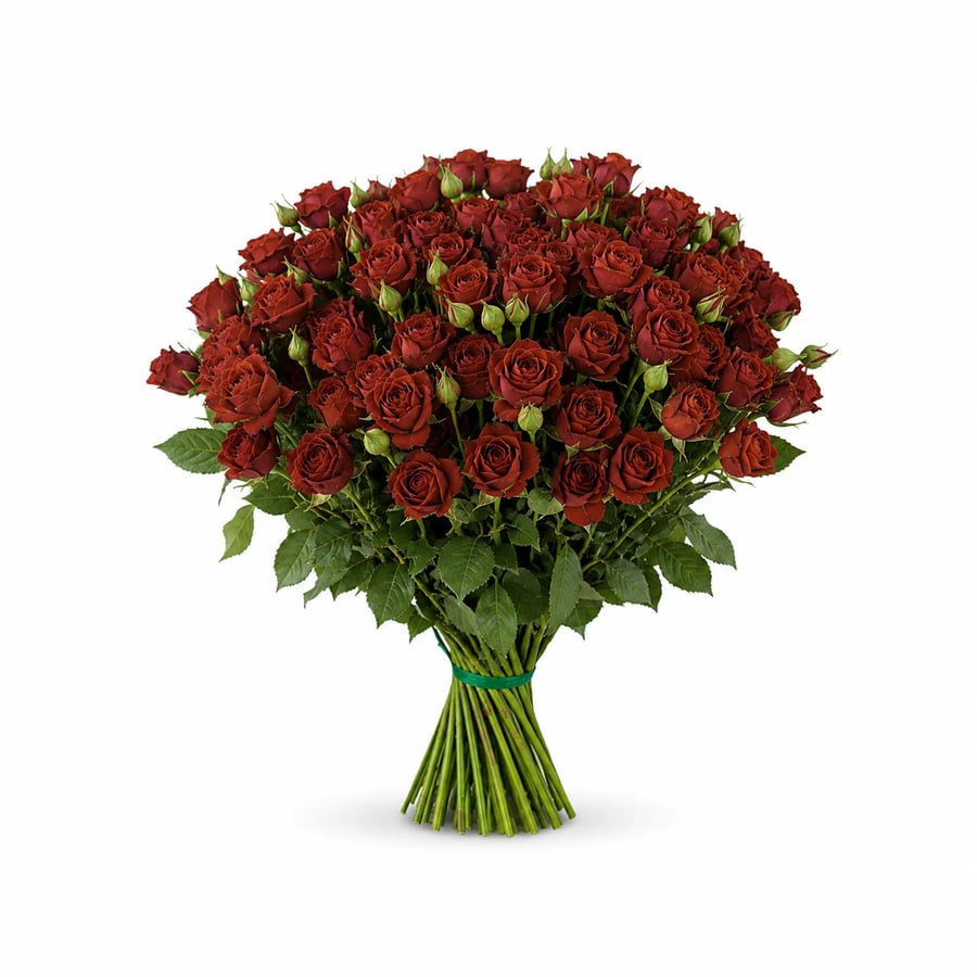 بيبي روز أحمر – Baby Rose Red