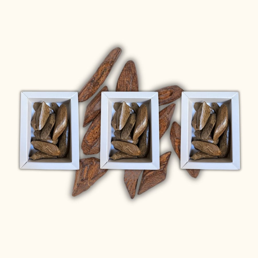 عرض 3 أوقيات مروكي