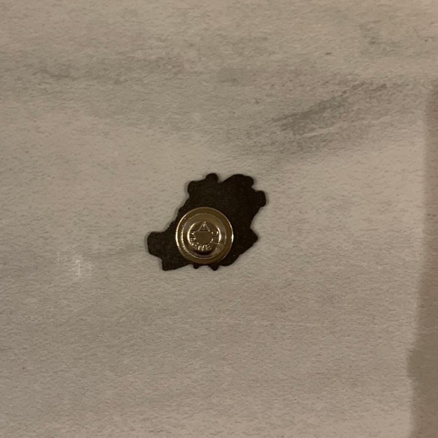 Metal badge of Crown Prince Mohammed bin Salman