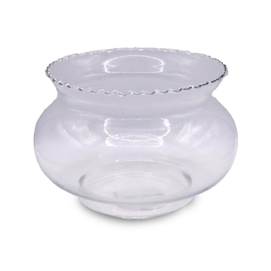 Glass vase for preserving flowers and roses