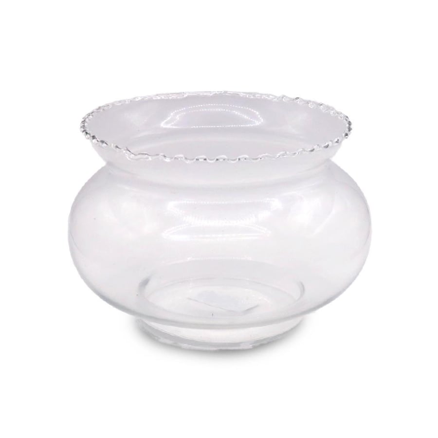 Glass vase for preserving flowers and roses