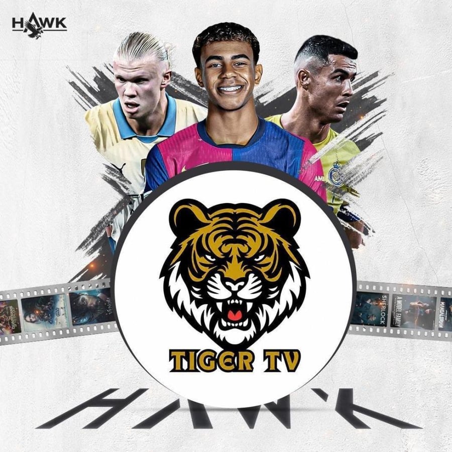 اشتراك تايجر 6 شهور