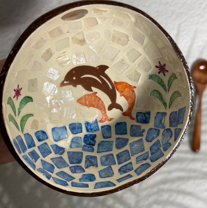 A bowl of granola from coconut shell - with a design of three dolphins