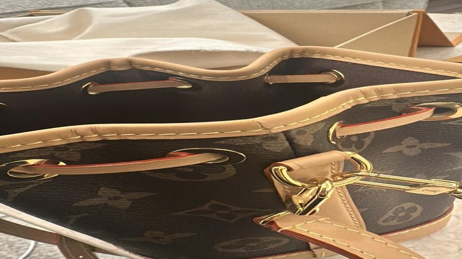 LV Nano Noé Bag