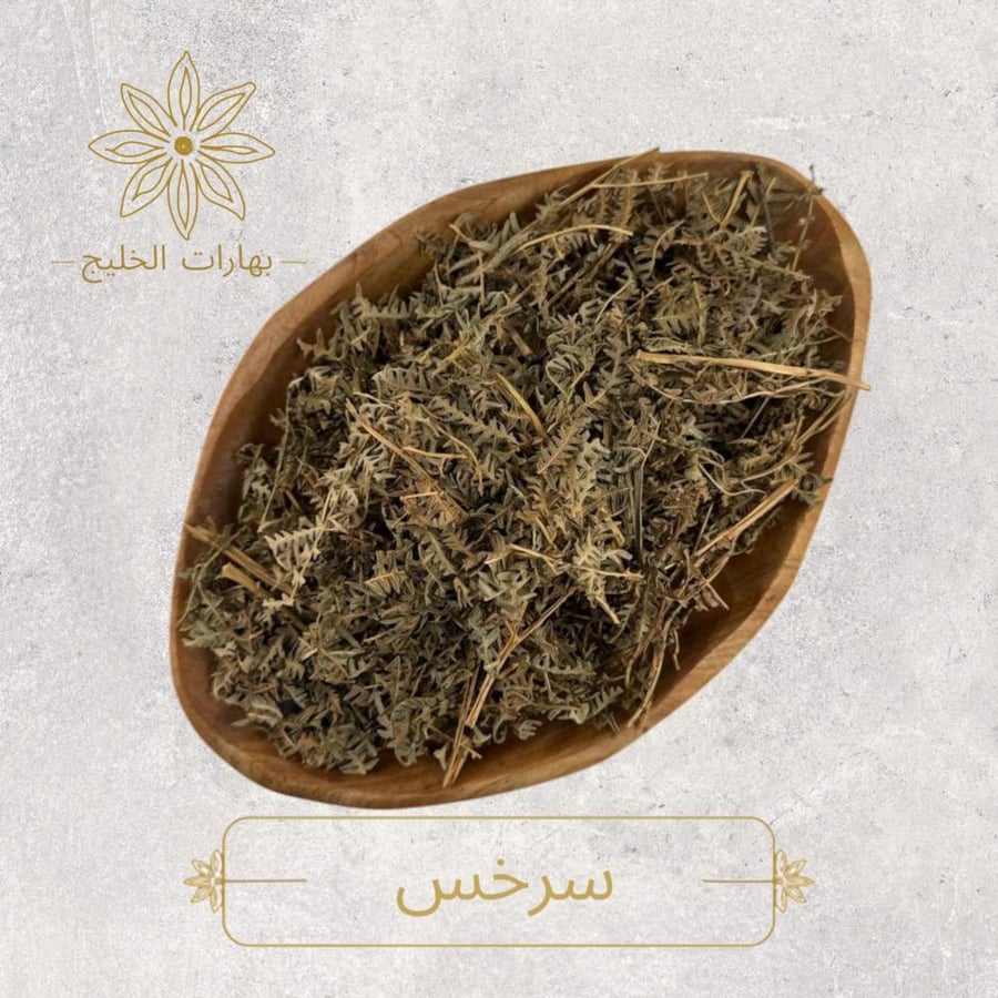 سرخس