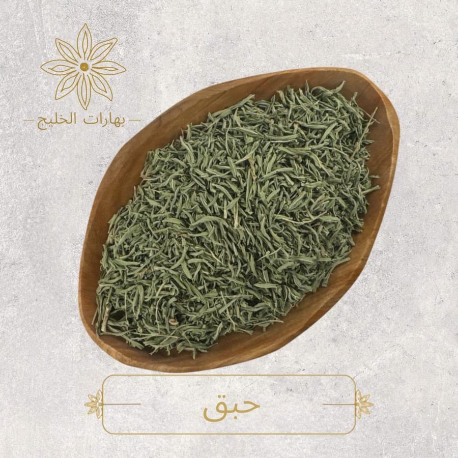 حبق