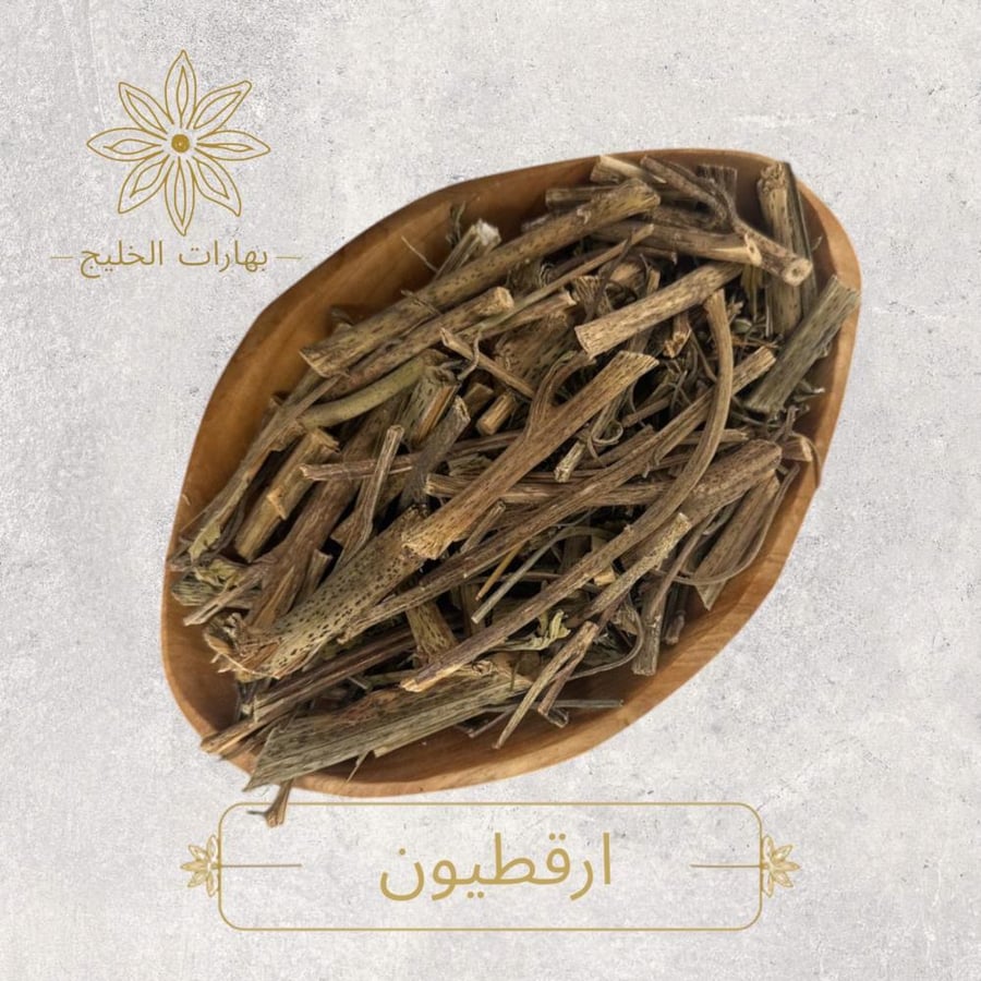 ارقطيون