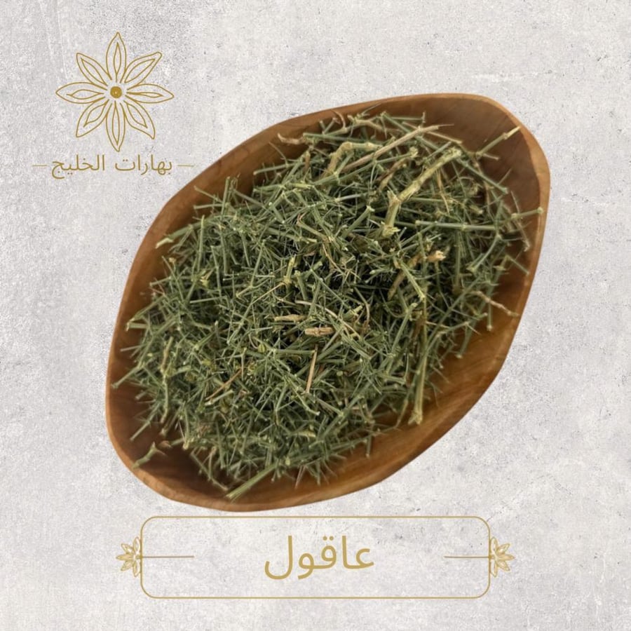 عاقول