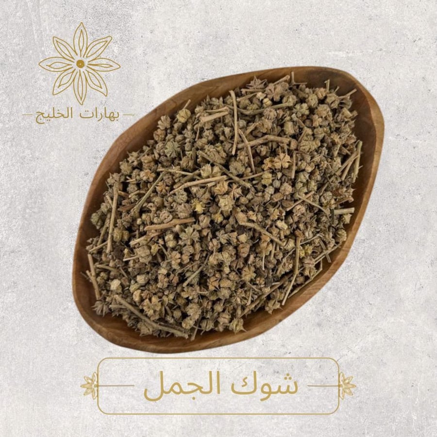 شوك الجمل