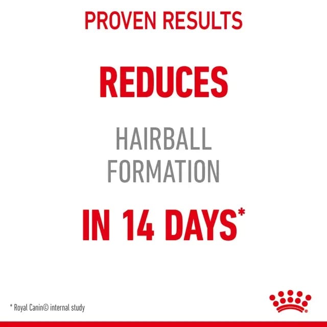 Royal Canin Hairball Care Cat Dry Food for Adults