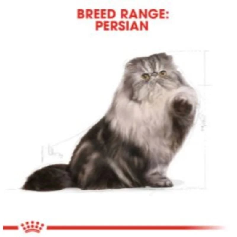 Royal Canin Cat Dry Food for Persian Adults