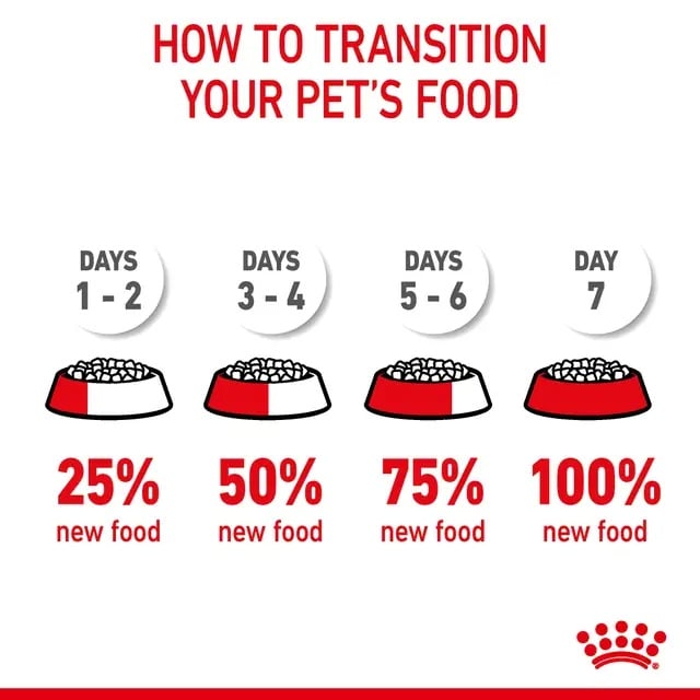 Royal Canin Hairball Care Cat Dry Food for Adults