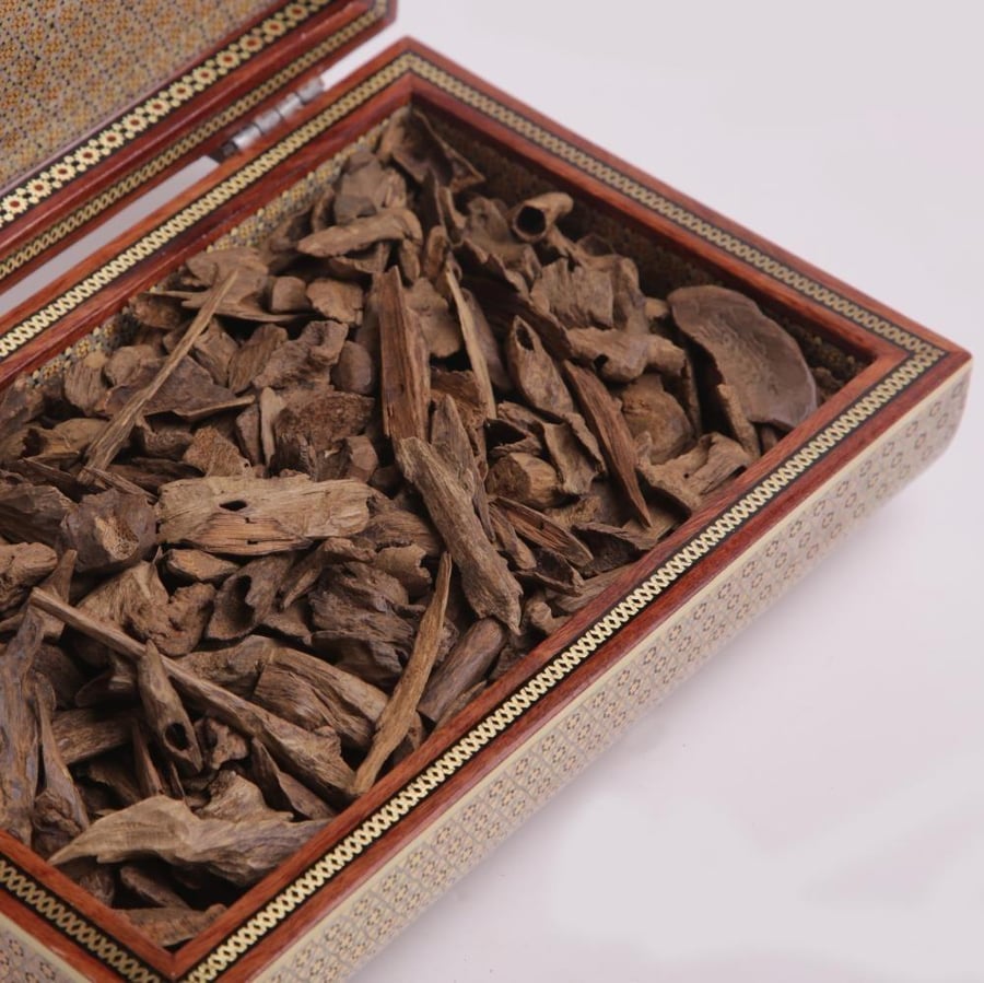 عود فلبيني ميني