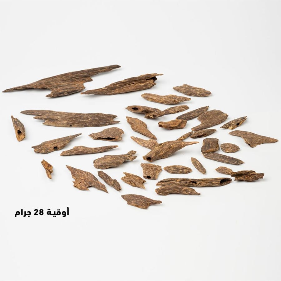 عـود بلاك بونتيانك