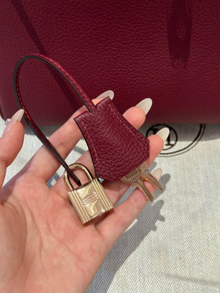 Her -Birkin 25