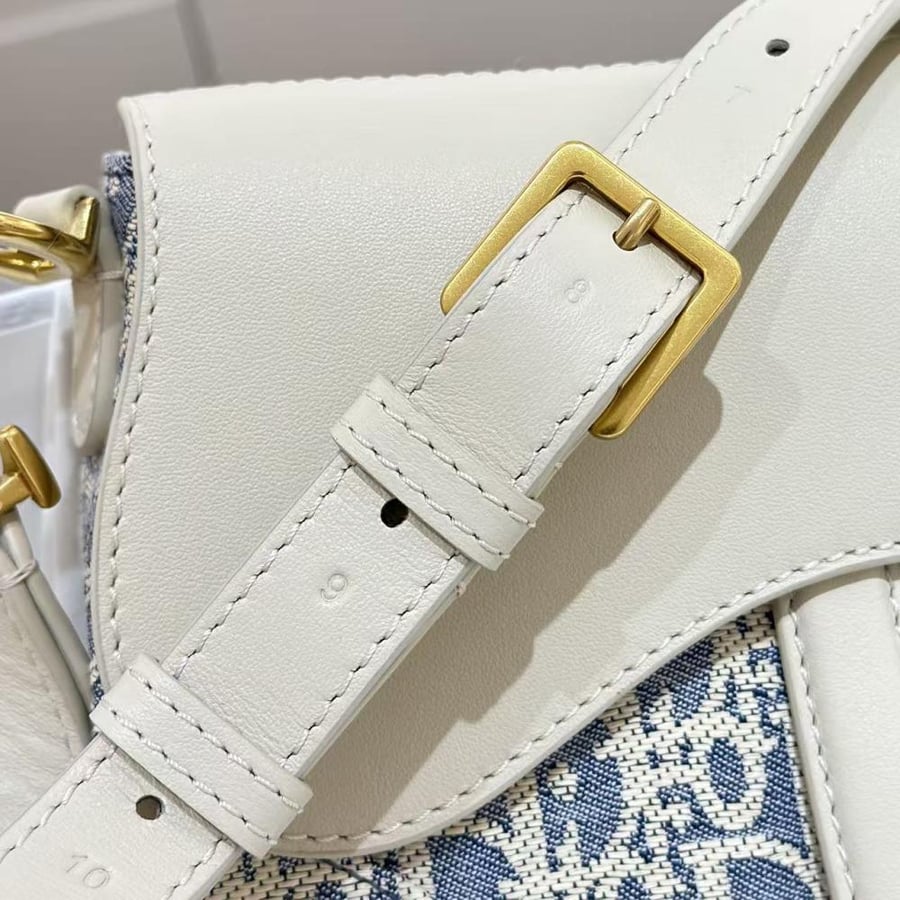 شنطة ديور Saddle Doir