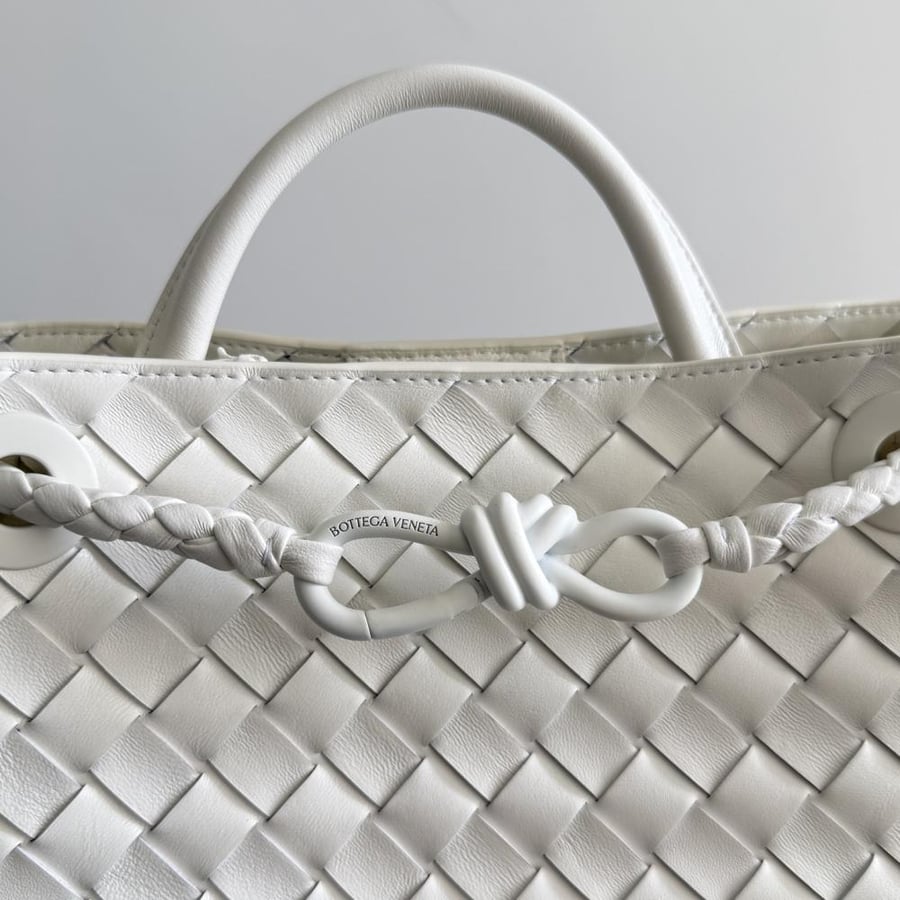 شنطة بوتيغا Small Andiamo Bottega