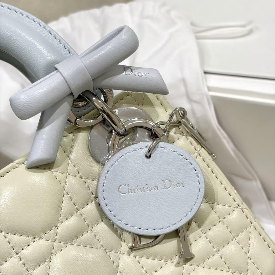 شنطة ديور Dior