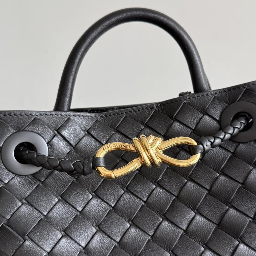 شنطة بوتيغا Mini Andiamo