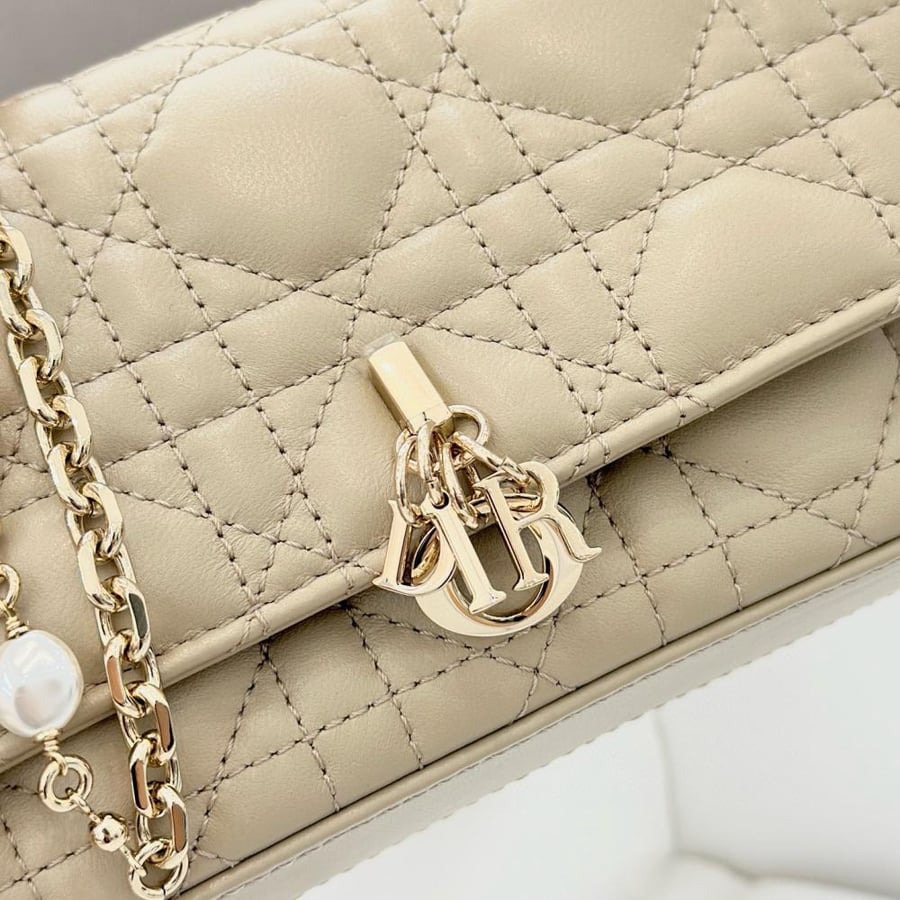شنطة ديور WOC