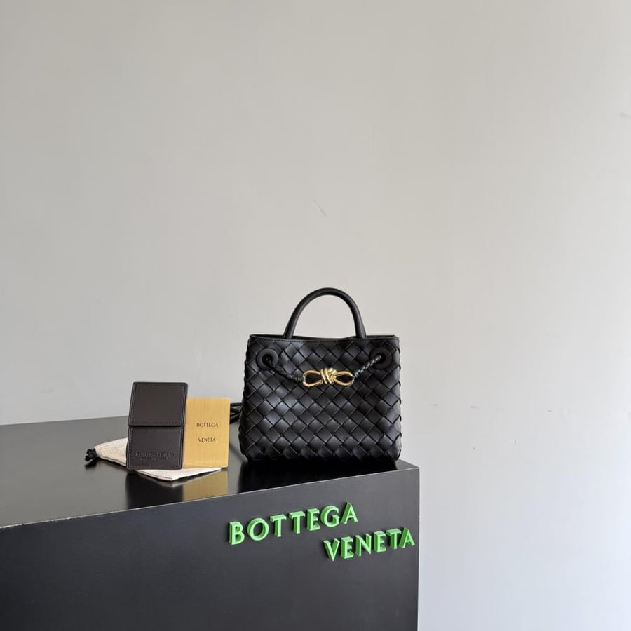 شنطة بوتيغا Mini Andiamo