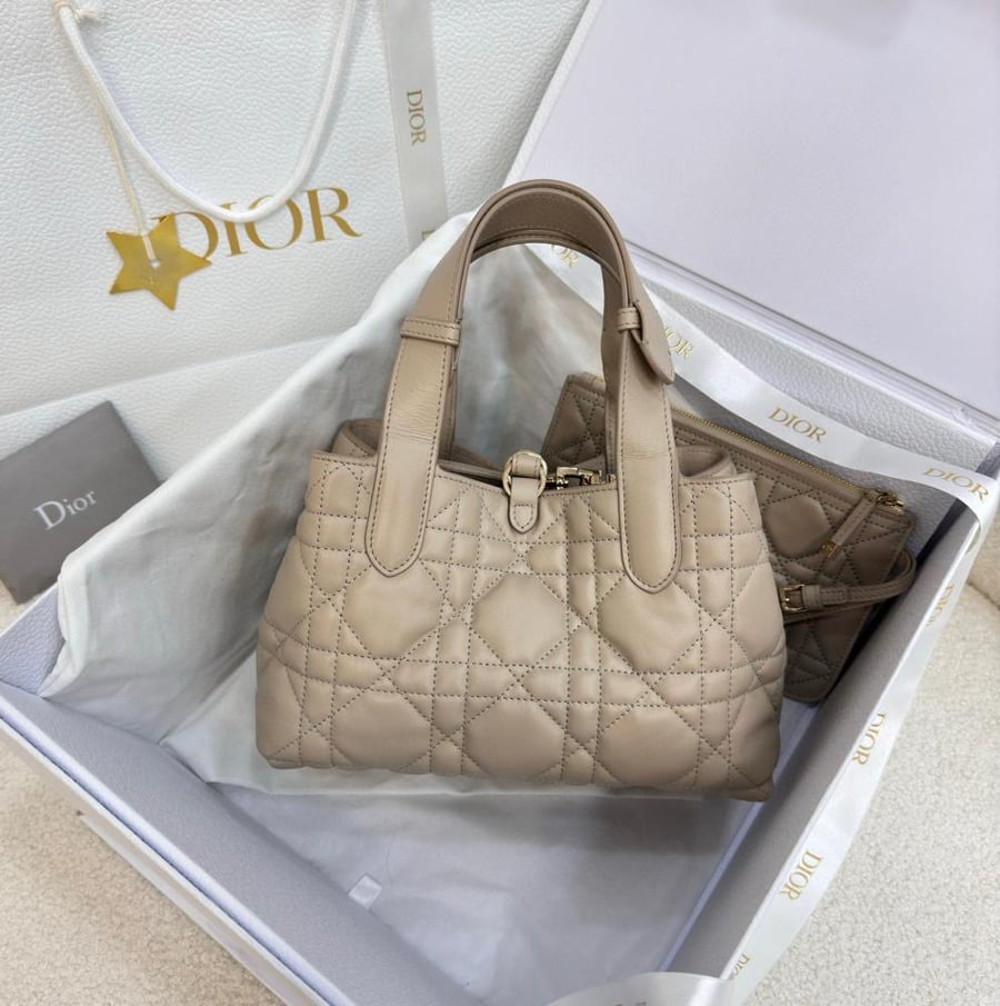 شنطة ديور Small Dior Toujours Bag مقاس 23cm