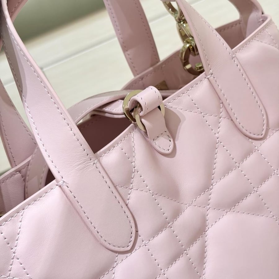 شنطة ديور Toujours Dior
