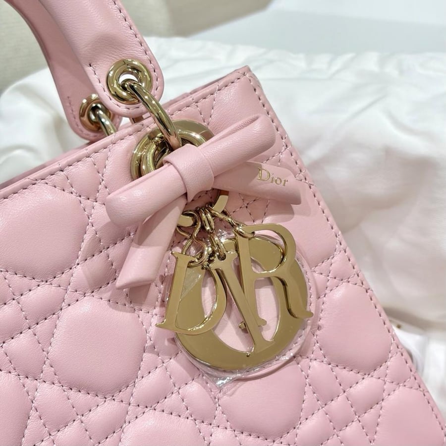 شنطة ديور Dior