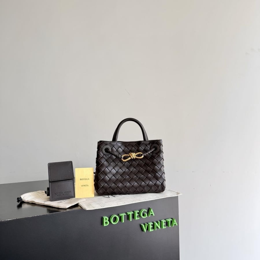 شنطة بوتيغا Mini Andiamo