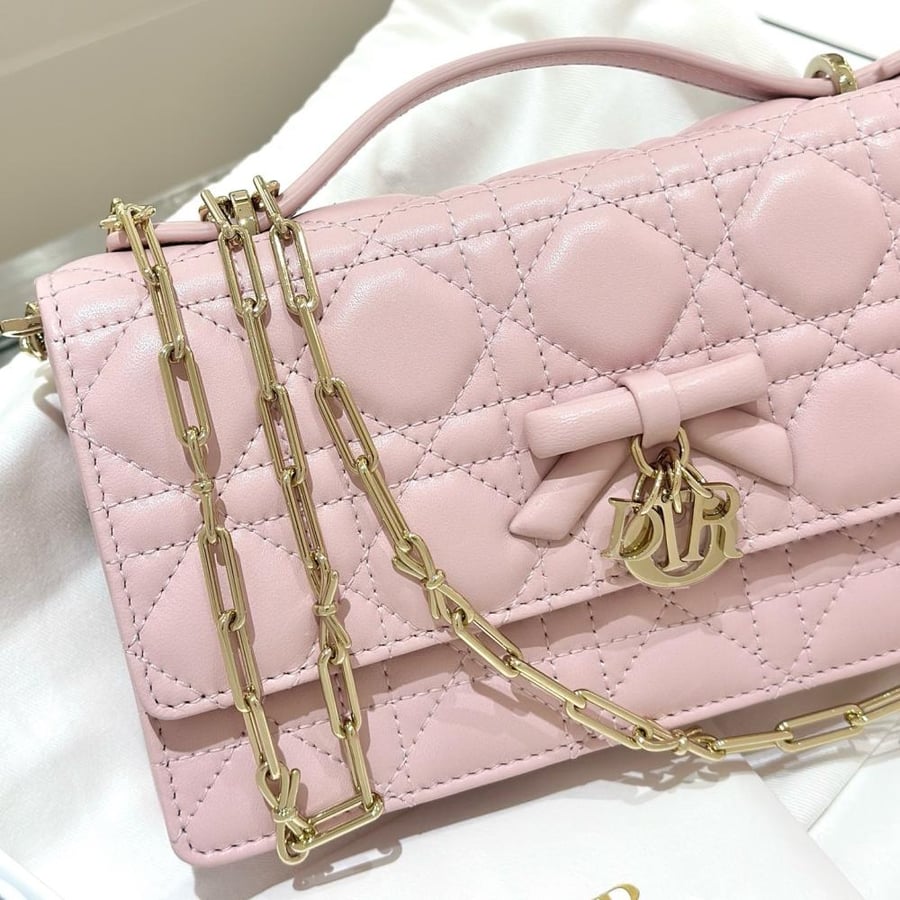 شنطة ديور Woc
