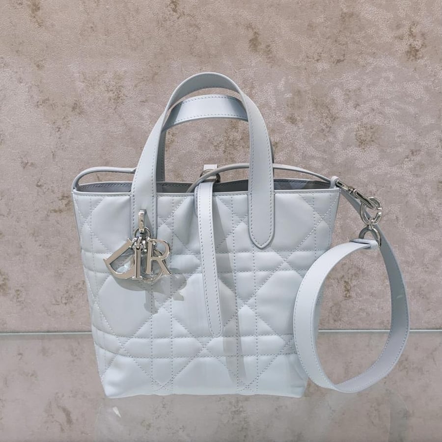 شنطة ديور Toujours Dior