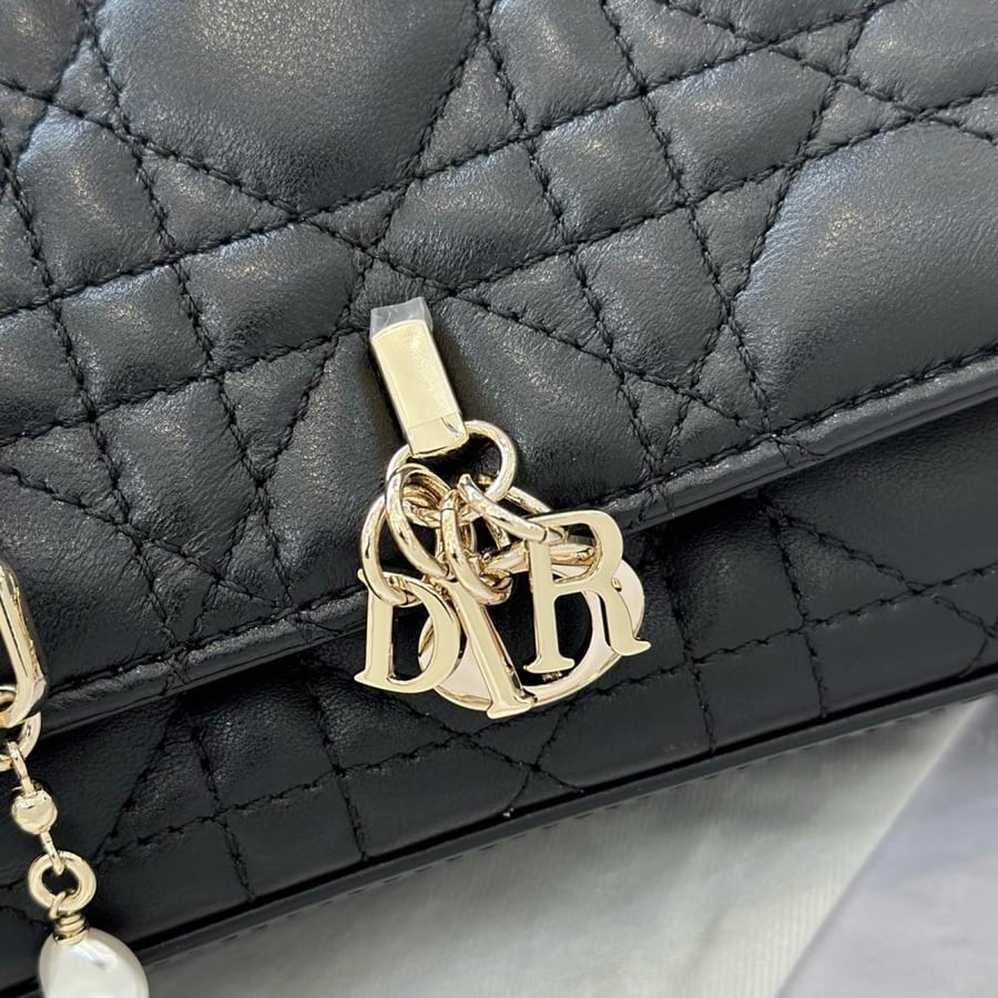 شنطة ديور Dior