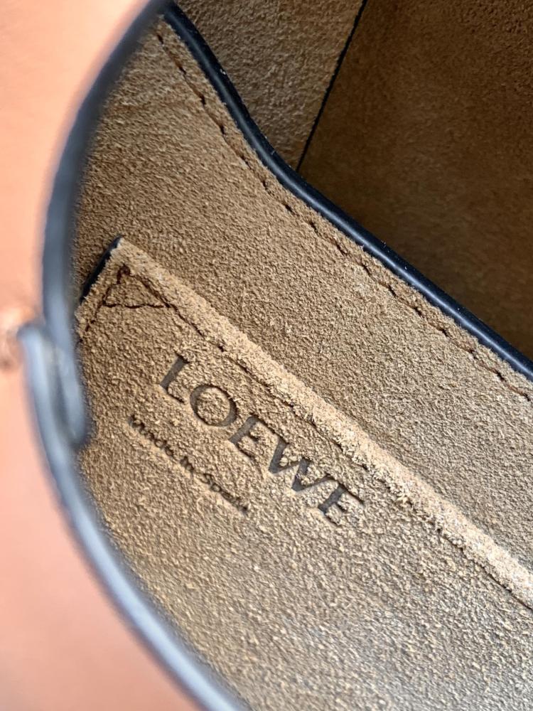 Loewe Gate Dual Small bag
