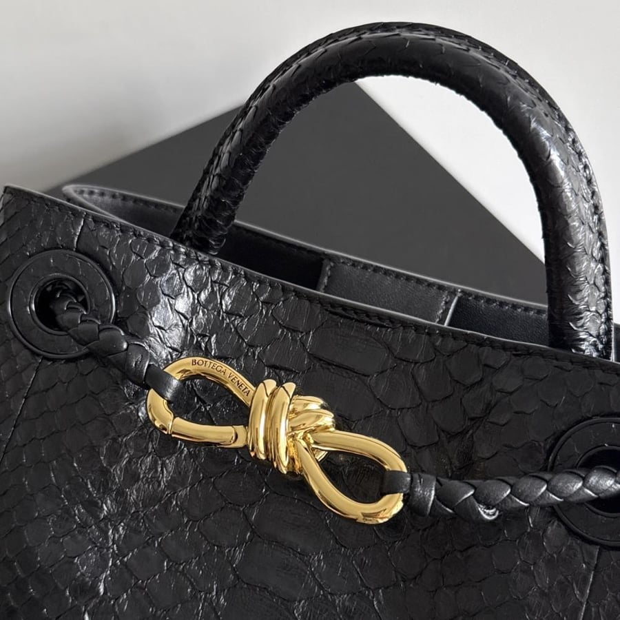 شنطة بوتيغا Mini Andiamo Bottega