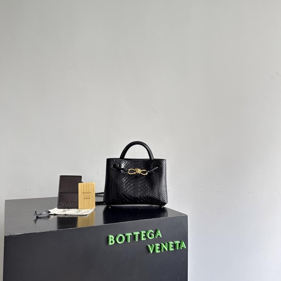 شنطة بوتيغا Mini Andiamo Bottega