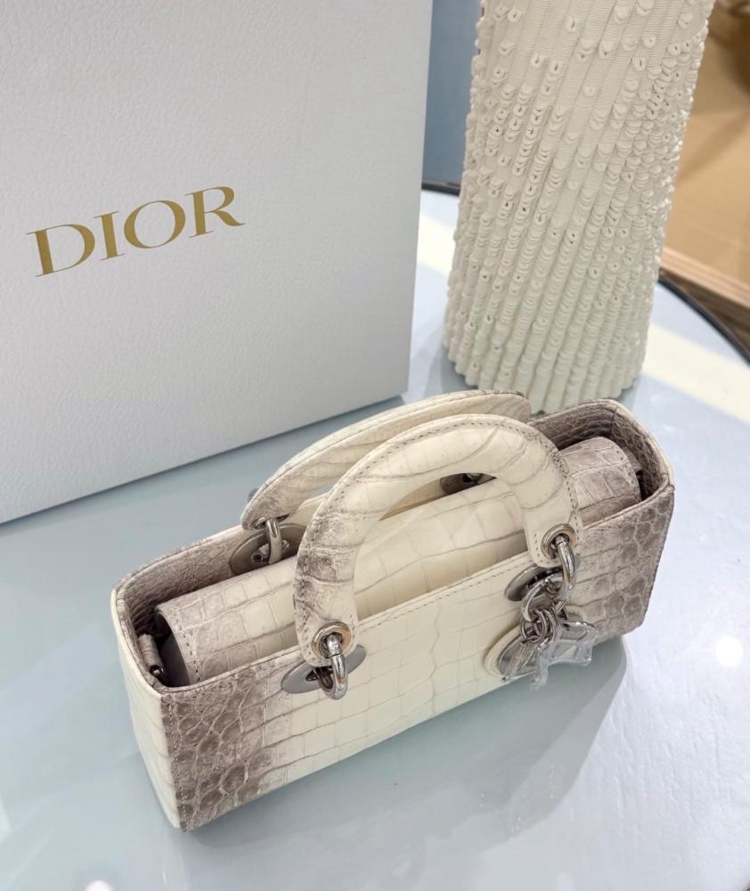 Lady D-Joy Bag Dior Bag size 22cm
