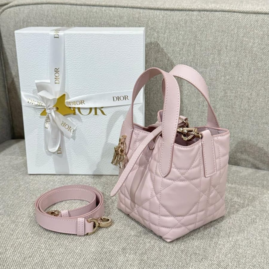 شنطة ديور  Dior Toujours Bag مقاس 13cm