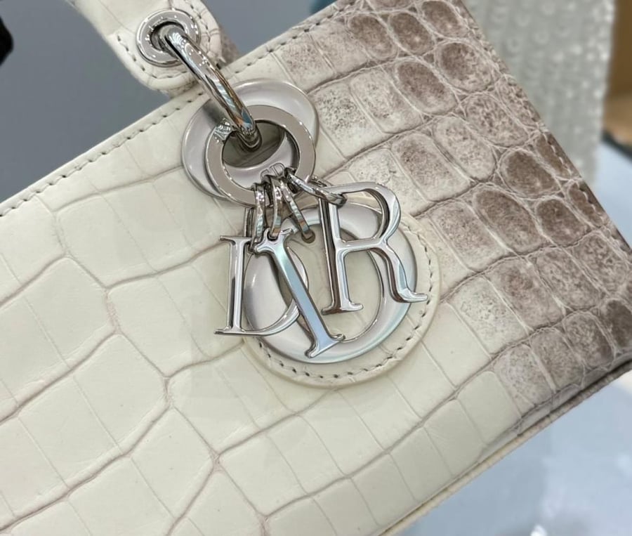 Lady D-Joy Bag Dior Bag size 22cm