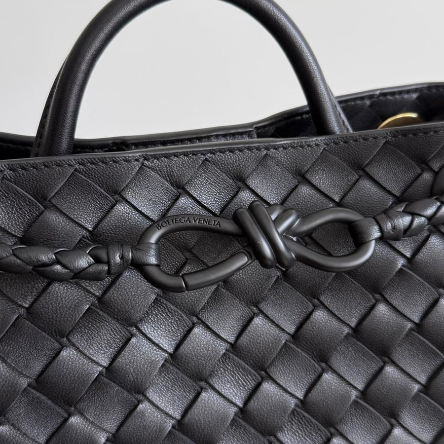 شنطة بوتيغا Small Andiamo Bottega