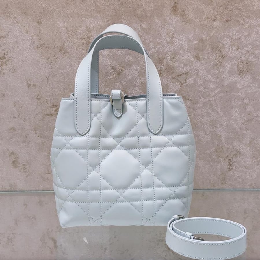شنطة ديور Toujours Dior