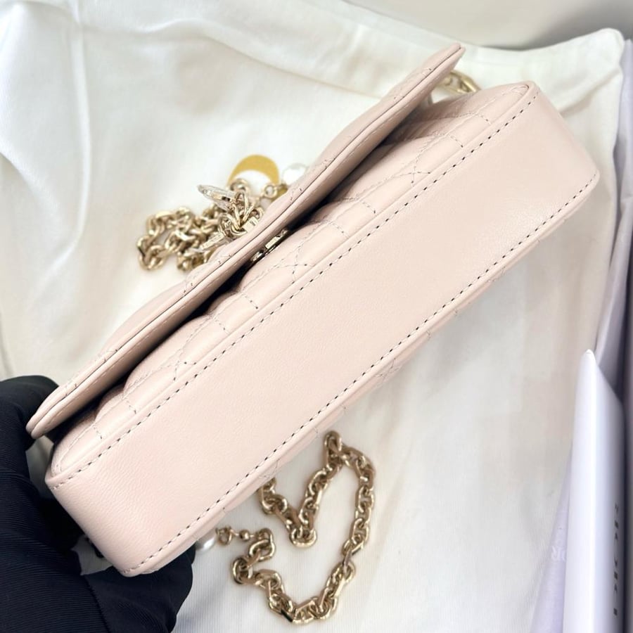 شنطة ديور WOC