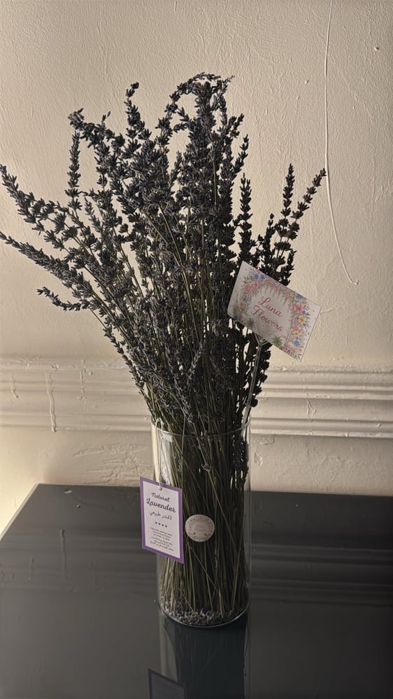 LUNA Lavender