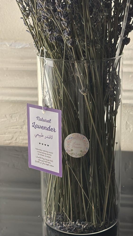 LUNA Lavender