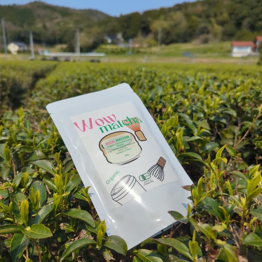 ماتشا عضوية احتفالية فاخرة   100g ORGANIC MATCHA PREMIUM CEREMONIAL GRADE.